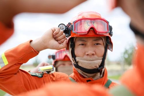 正确的宣誓姿势图片图2