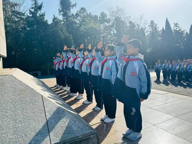 正确的宣誓姿势图片图3