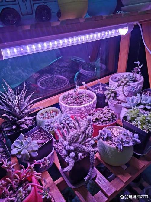 补光灯正确使用方法图2