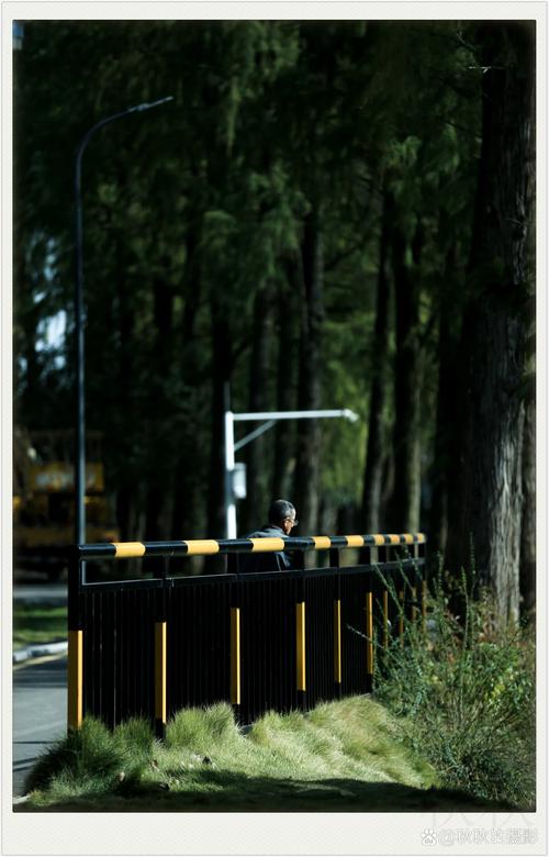 手机摄影怎么拍光影