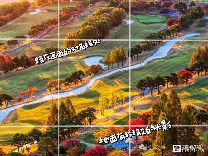 去哪里学摄影拍照