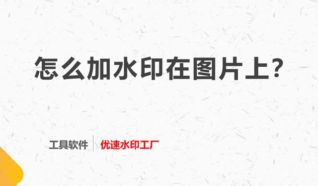 今日水印怎么在线编辑照片?