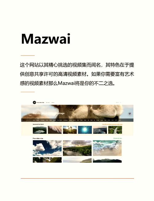 高清视频素材网站