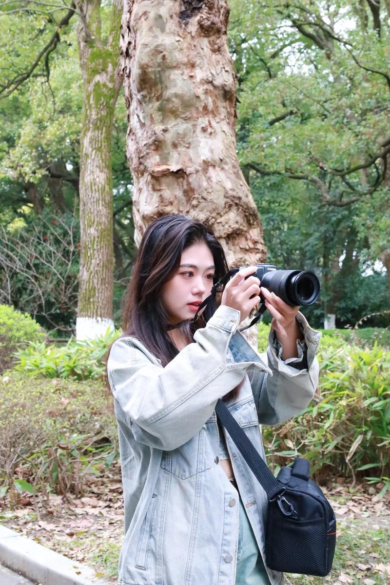 翻拍照什么意思图1