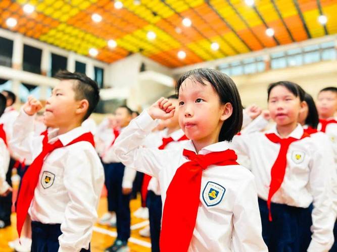 宣誓时的姿势图3