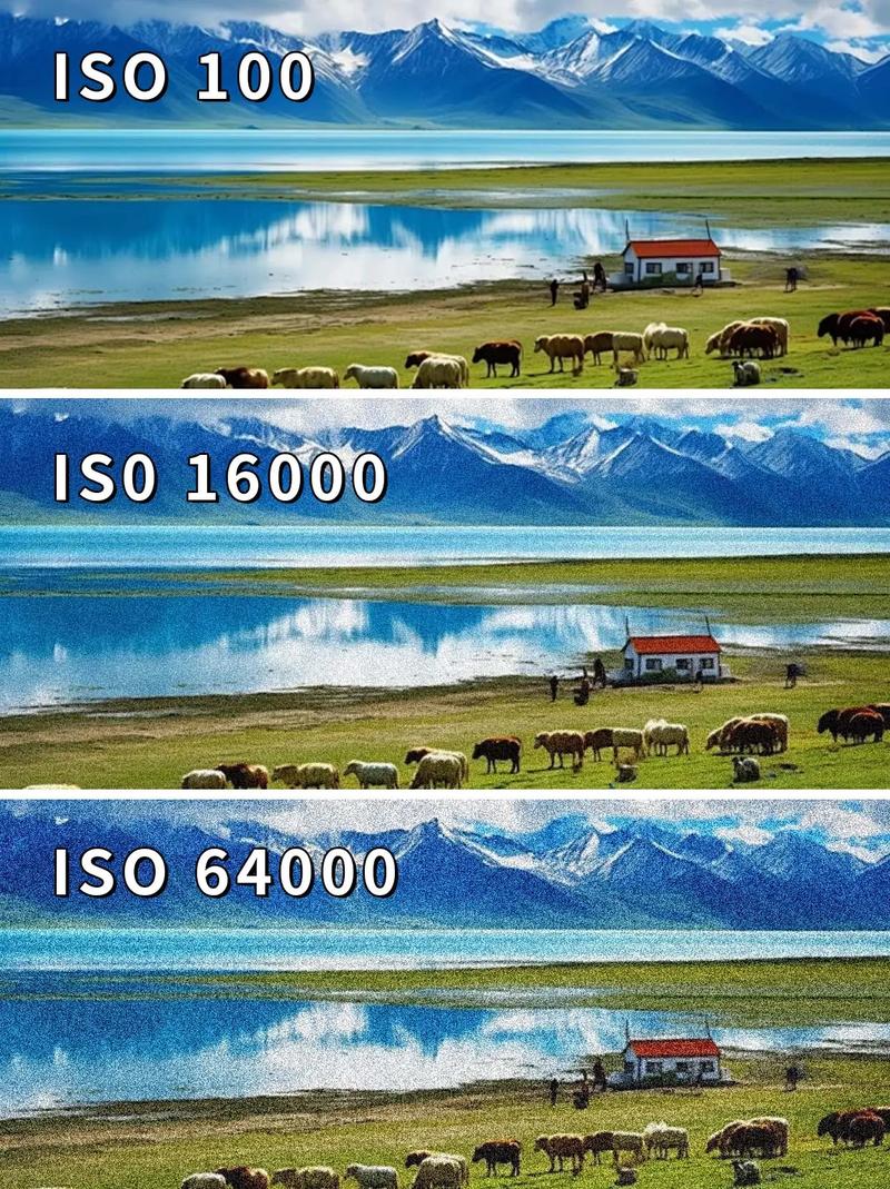 用什么相机可以把照片做成一段视频