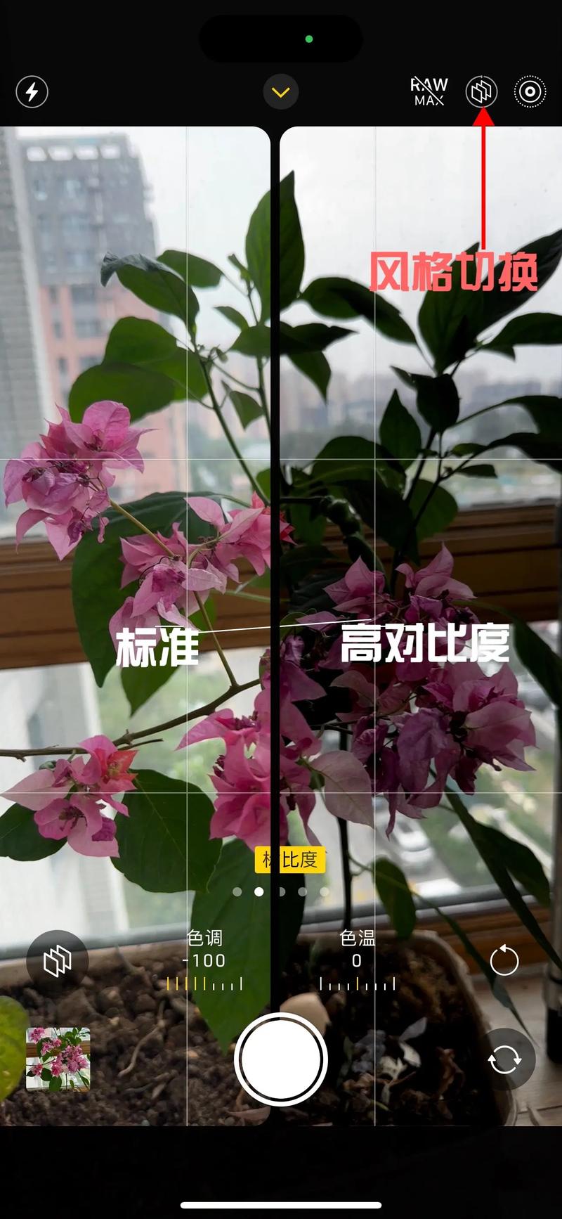 苹果手机的照相机图标不见了