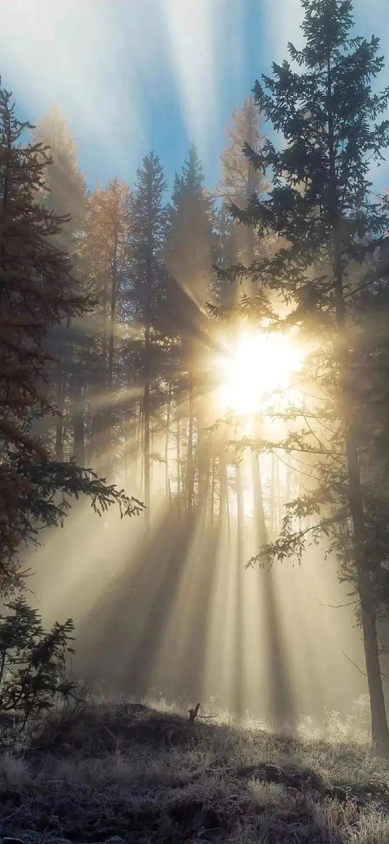 小众高级感背景图