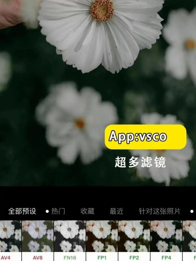 让照片变清晰的软件