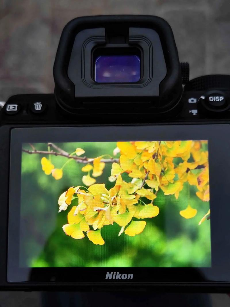 水印相机拍的照片能直接上传传输助手里吗