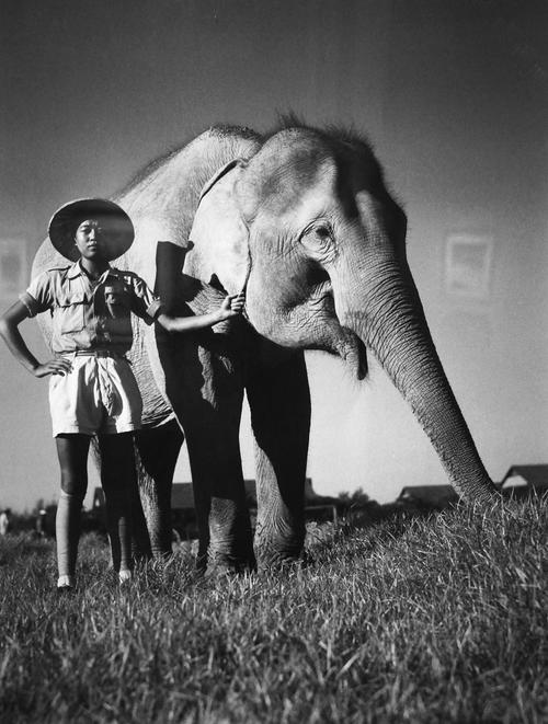 什么叫照片翻拍效果图1