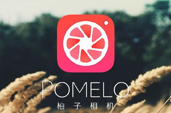 电脑版的拍照软件有哪些免费图3