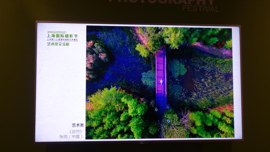 翻拍相片,怎样拍效果好一点图3