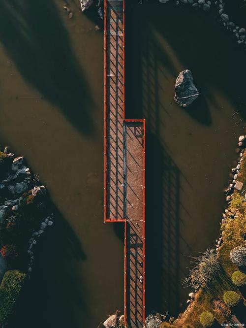 15种摄影构图图3