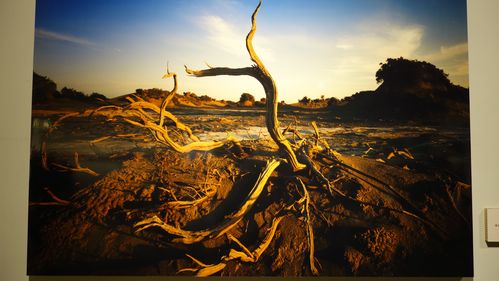 照片翻拍什么意思啊图2