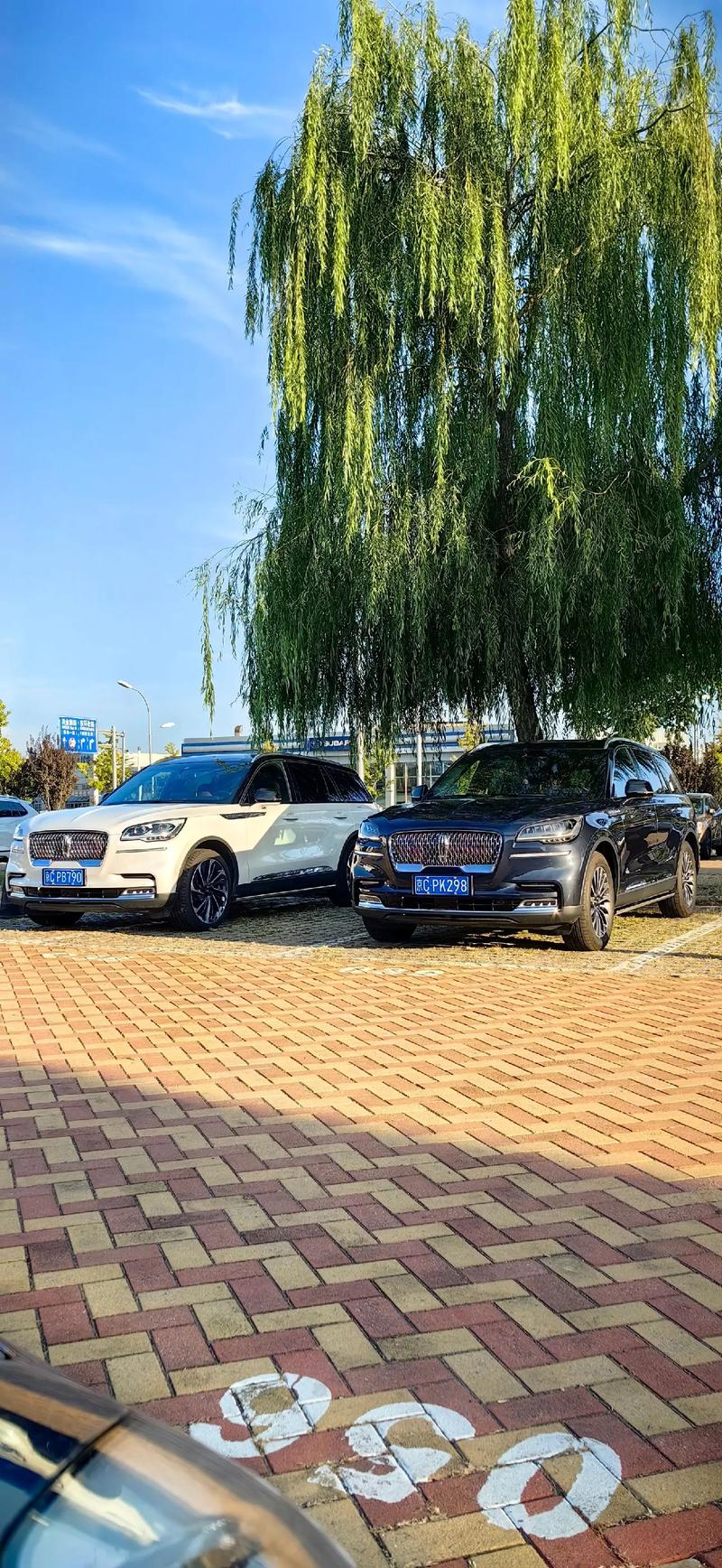 提车拍照姿势怎么样好看吗图2