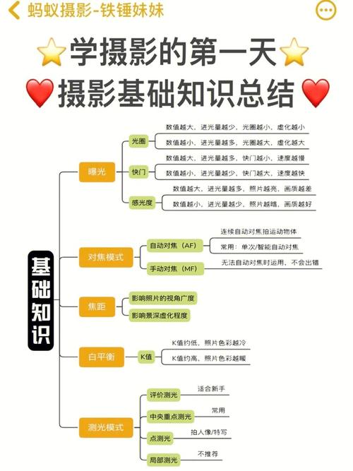 拍证件照怎么打光图3