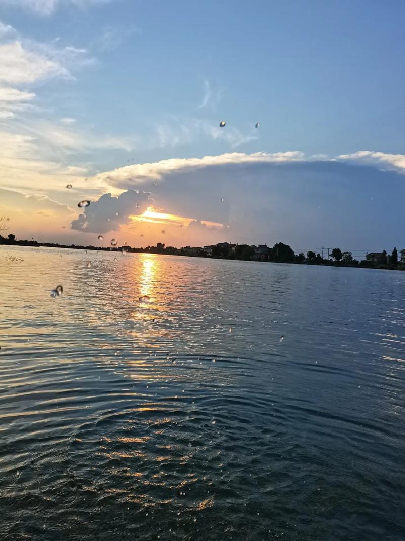 华为拍照手机哪款最好最清晰图3