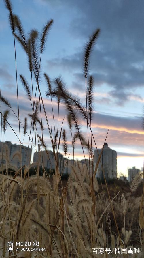 手机摄影技巧150例图1