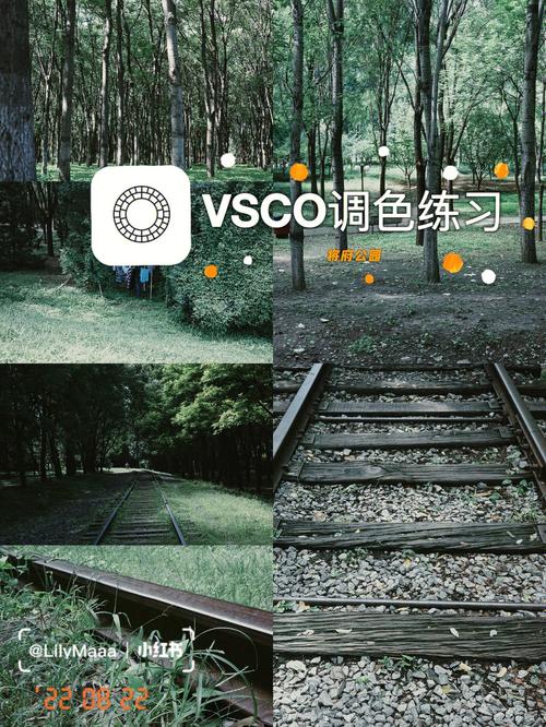 vsco有没有电脑版