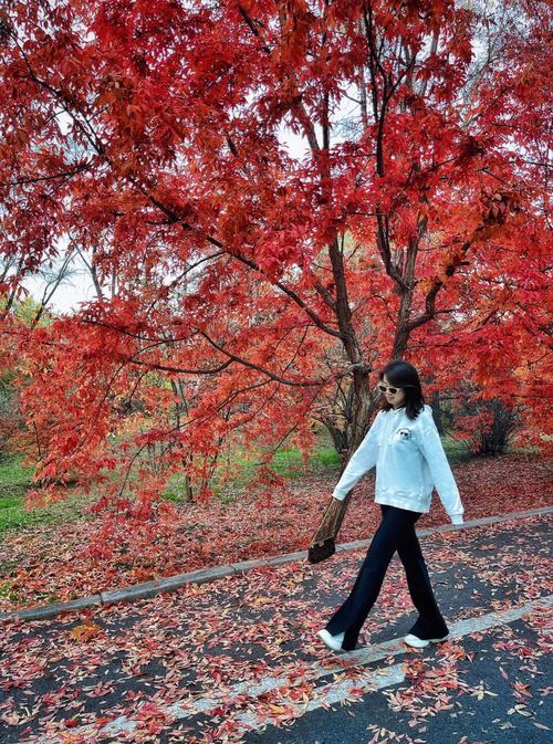 周末去赏红叶穿什么颜色的衣服照相比较好看呢
