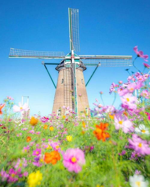 我想要用手机给我拍的照片配风景,需要怎么做