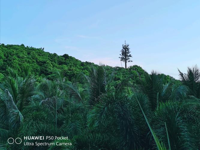 如何用华为拍出远处的风景?