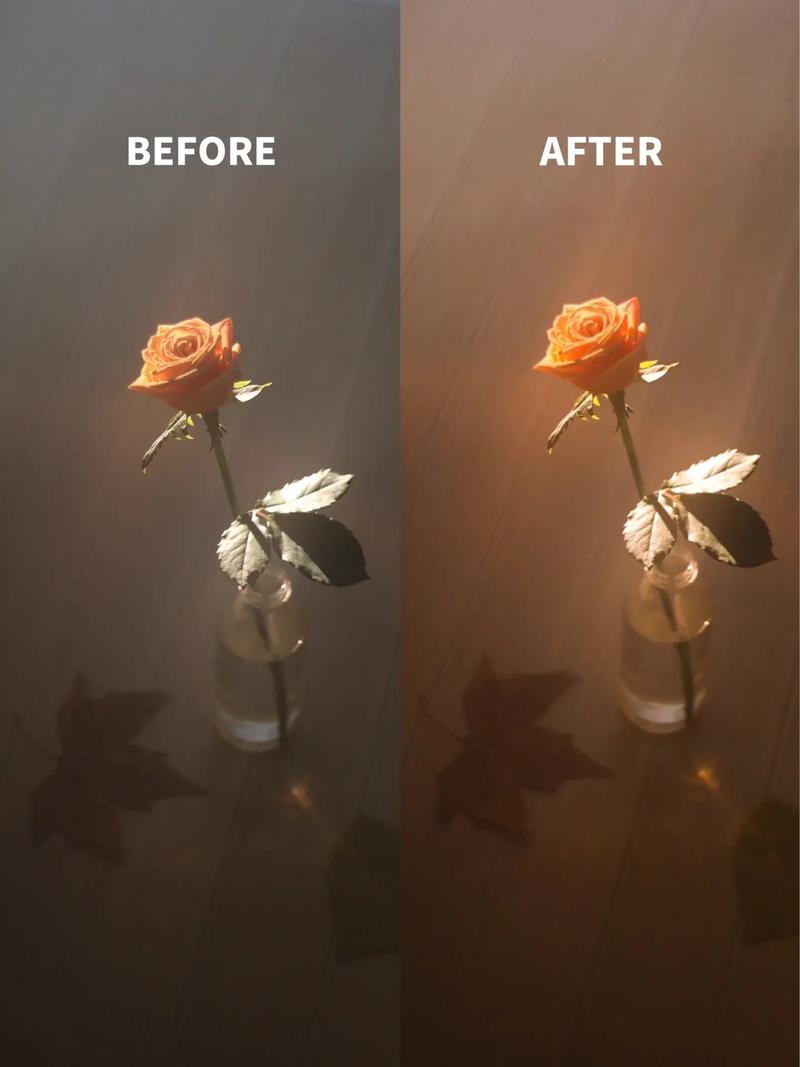 拍摄静物打光技巧