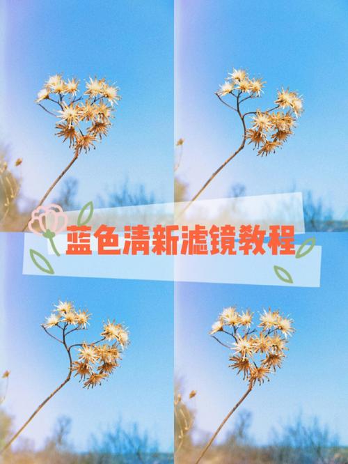 美图秀秀如何左右镜像照片?