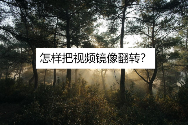 如何把图片镜面翻转