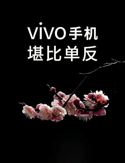 vivo手机照相怎么显示日期