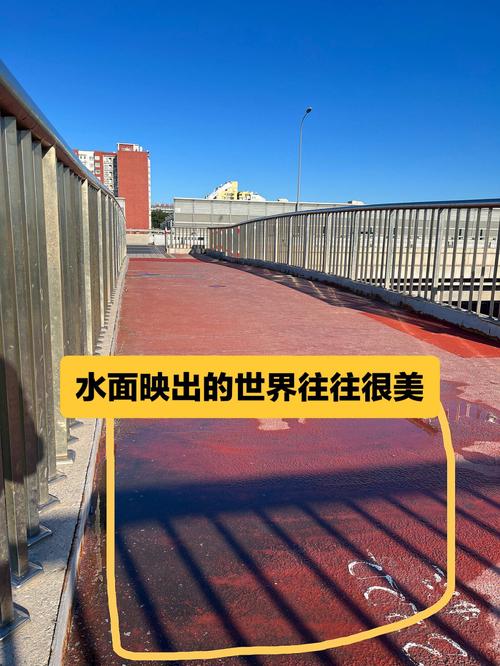 怎样翻拍照片才能没有倒影