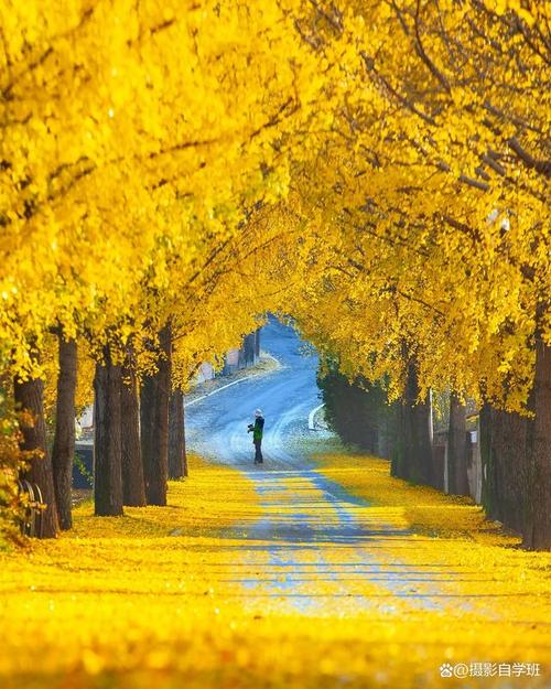 风景拍照技巧与方法