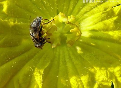 如何给图片加隐形水印图2