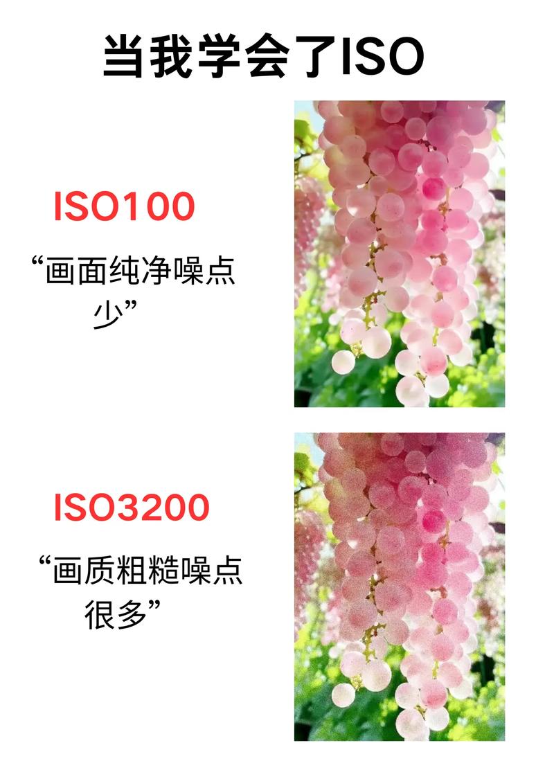 什么相机拍照带时间地点?