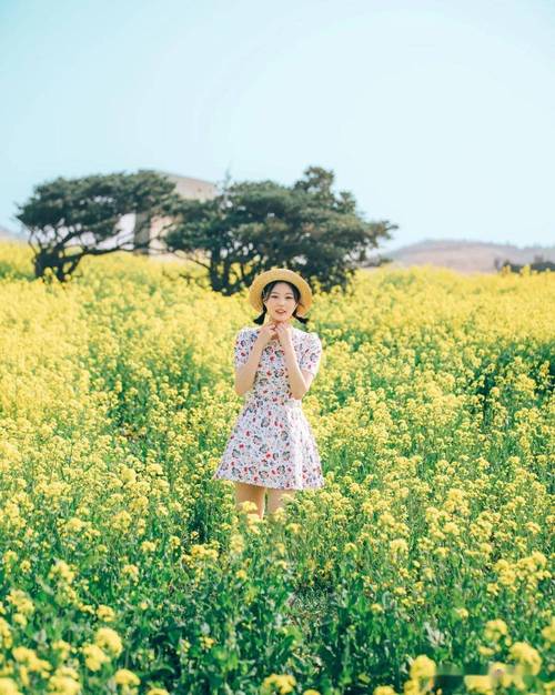 拍照手机哪款比较好一点图1