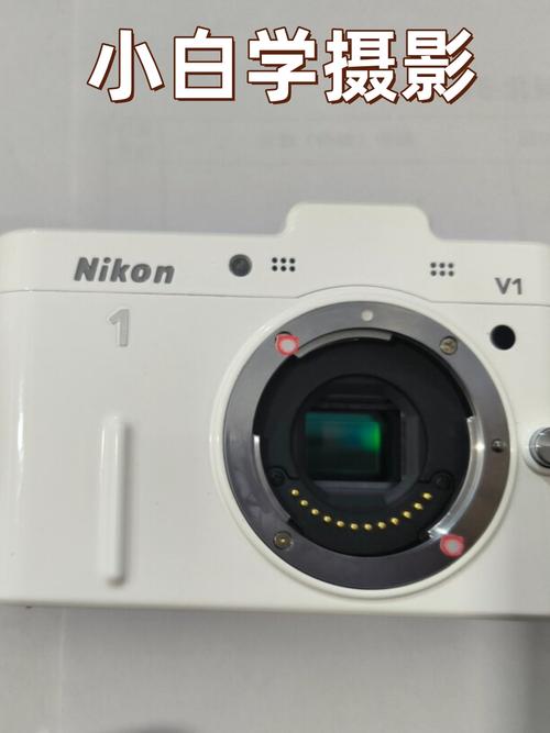 手机远距离拍照怎么拍清楚图3