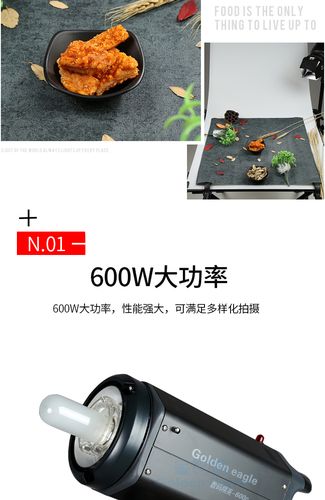 我有两盏300W的金鹰影室闪光灯,在室内用如何布光啊