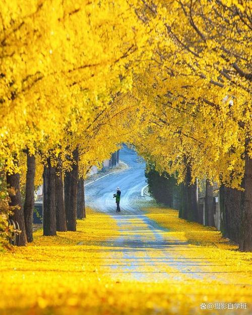 手机拍风景照的技巧参数