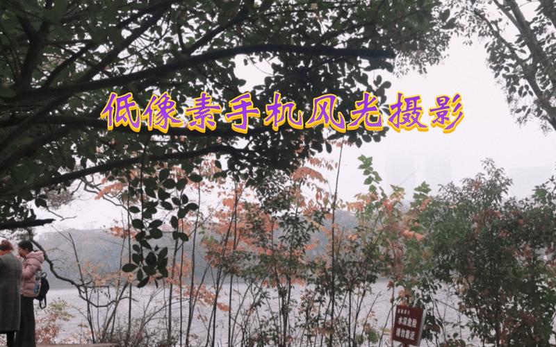 照片像素过低怎么调高图3