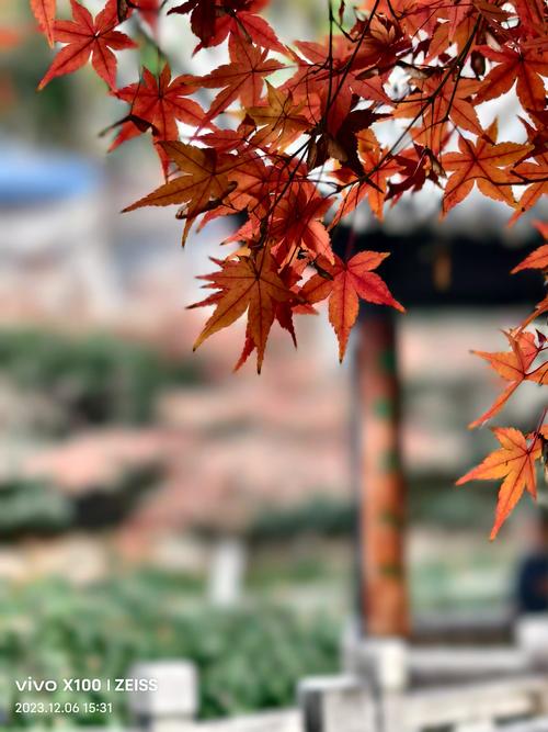 3000左右拍照好的手机推荐