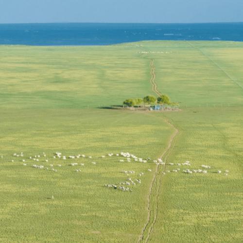 风光摄影草原摄影4个基础技巧!
