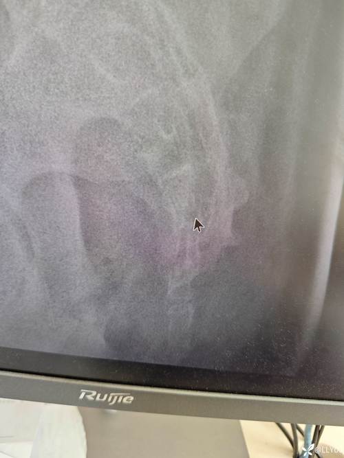 翻拍照片技巧与方法大全图1