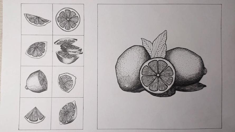 【水果】水果中柠檬的画法!