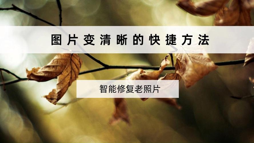 怎么样将图片变大而且清晰?