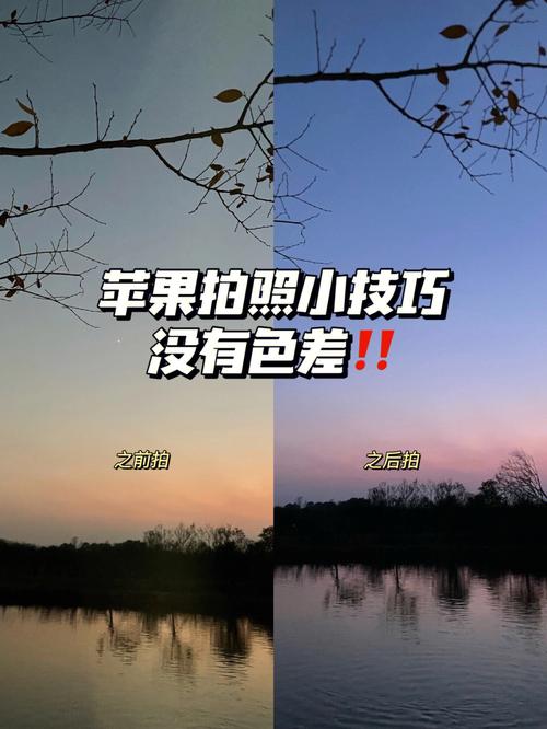 最好的拍照手机是哪一款苹果图2