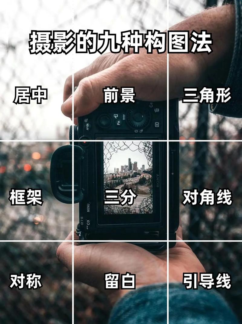 拍摄照片构图技巧有哪些图2