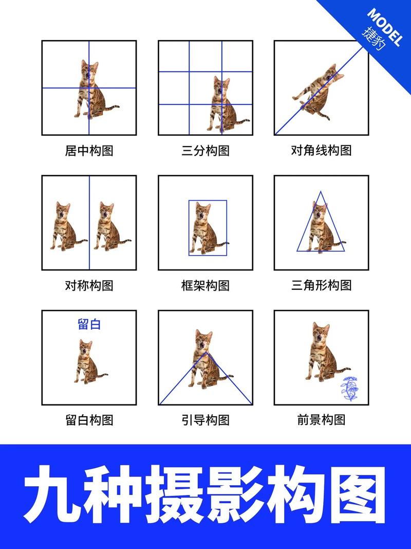 摄影构图有几种方式?