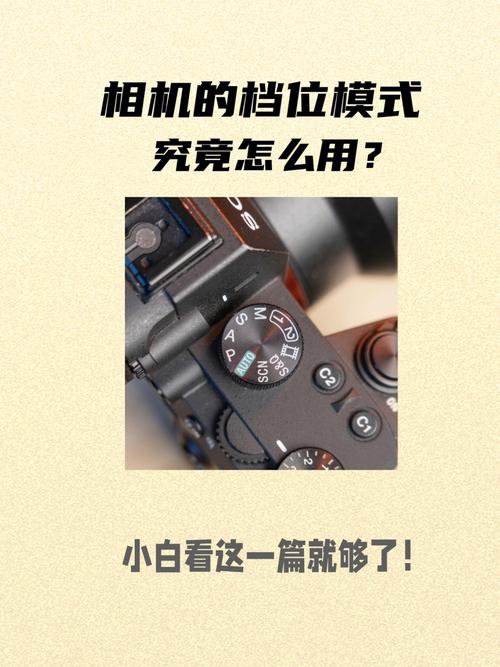 手机里的照相怎么不见了,怎么办?