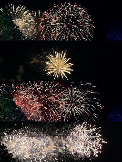 手机如何拍花好看图3